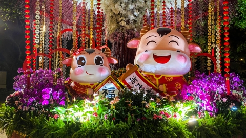 牛年祝福語30句實用拜年賀語 逗利是必備/發財/健康吉祥話