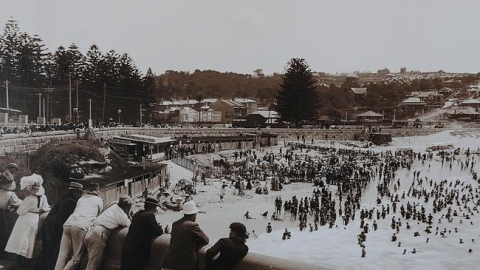 澳水族館虎鯊吐出人類手臂 揭露駭人分屍案
