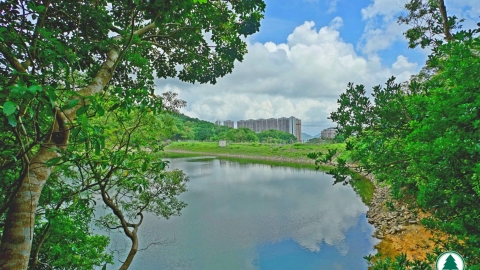 4條一星難度初級行山路線推介！