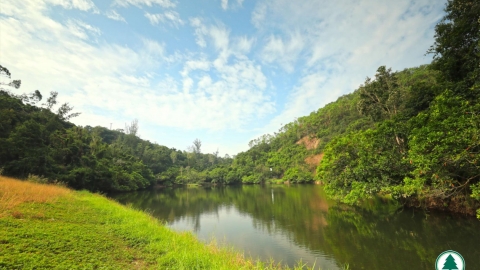 精選4大春天郊遊好去處！ 大帽山家樂徑/鳳坑家樂徑/大埔滘自然教育徑/大欖自然教育徑