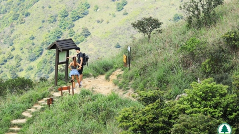 黃龍坑郊遊徑登大東山挑戰中難度路線！ 黃龍石澗/遠眺黃龍瀑布/沿途賞吊鐘花