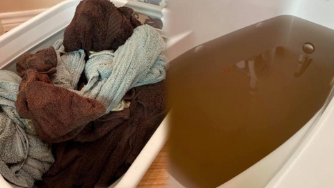 洗過的「乾淨」毛巾比想像中污糟 英網民簡單一招逼出黑色髒水