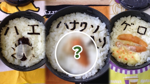 日本媽媽為家人炮製暗黑系便當 便便、嘔吐物、昆蟲全部出動?