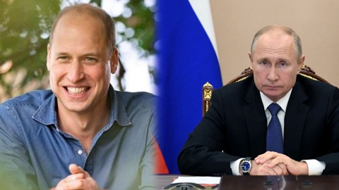 全球10大最性感光頭佬排行 禿頭威廉撼贏普京、泰臣奪冠!