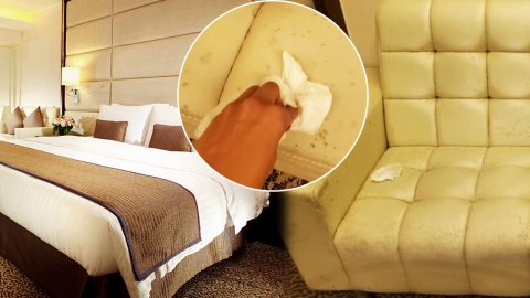 網民投訴四星酒店梳化發霉 要求換房經理反問：嫌房太舊？
