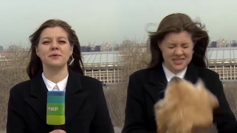 戶外直播突被「不速之客」搶咪 女記者狂奔追咪場面惹笑