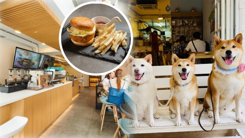 新界10大寵物友善Dog Friendly餐廳 柴太郎咖啡店/Buzz Grill Bar & Café/Cozy Coffee