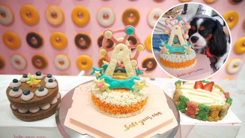 自助烘焙店BYO推寵物蛋糕 DIY「幸福摩天輪 」蛋糕同狗狗慶祝生日