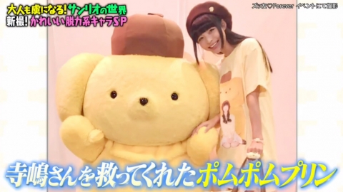 日本女偶像被布甸狗拯救人生變狂粉 家儲5000件精品、將喜好變畢業論文題目