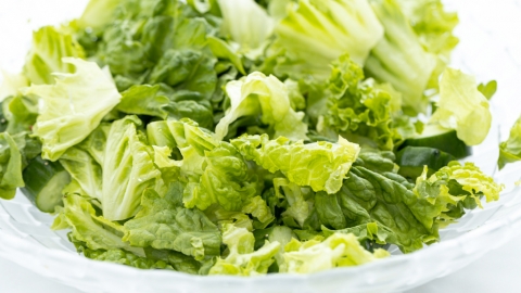 生菜放雪櫃太耐變軟變皺？ 日本專家教簡單1招還原爽脆（APP限定）