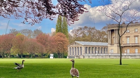 英國白金漢宮花園 首度開放予公眾野餐樂