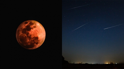 2022年香港7大天文現象預告 流星雨/月全食/超級滿月/罕見八星連珠