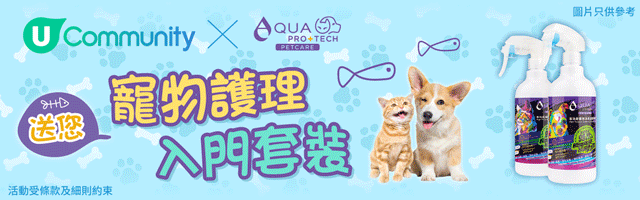 迷你四徑2025｜跑勻香港四徑 2月至5月越野跑賽事 附成績排名/報名詳情 | UHK 港生活