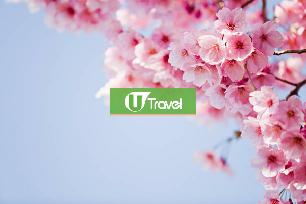 Test UT />100 Images 