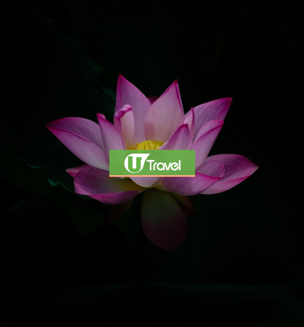Test UT />100 Images 