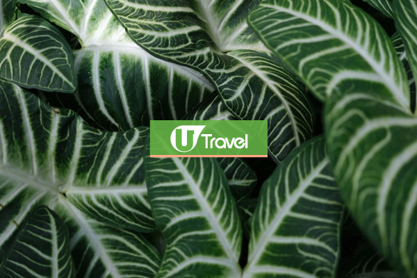 Test UT />100 Images 