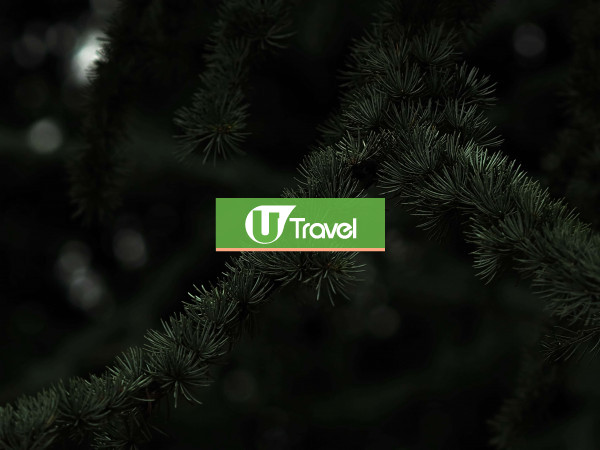 Test UT />100 Images 