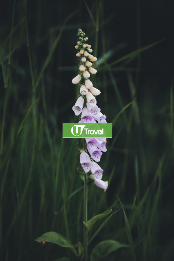 Test UT />100 Images 