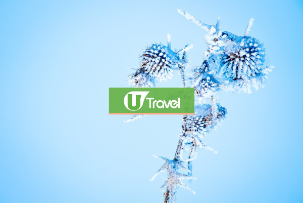 Test UT />100 Images 