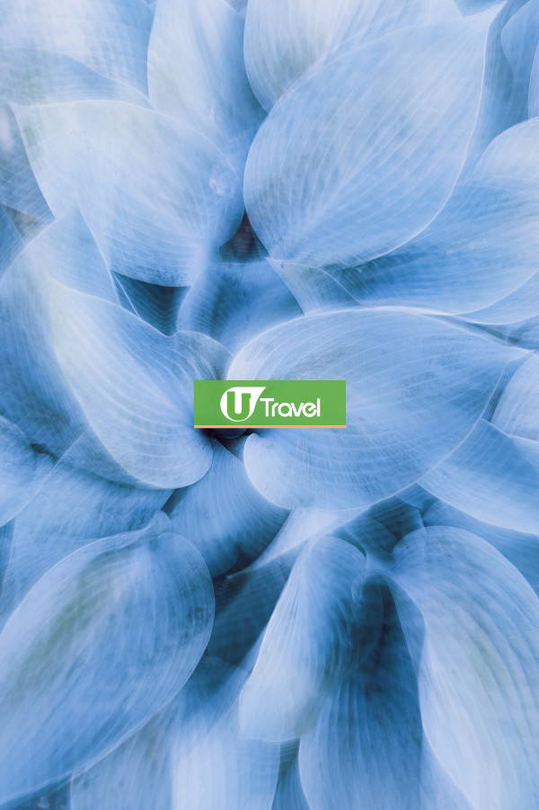 Test UT />100 Images 