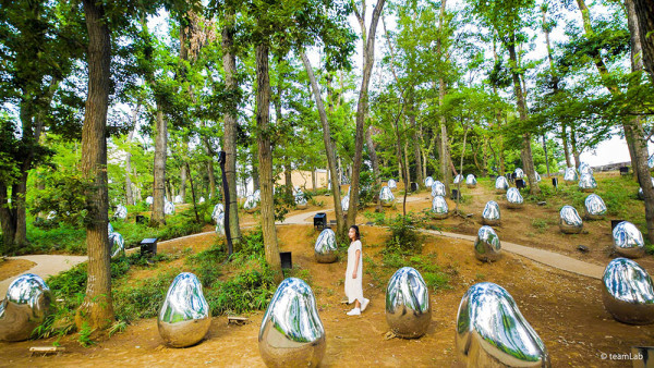 【日本出埠計劃】東京近郊避世遊 探訪埼玉縣大自然隱世景點好去處 