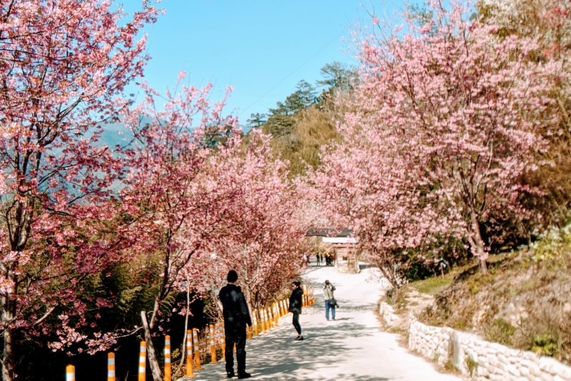 2023新竹旅遊新景點推薦 盤點15個一日遊好去處 