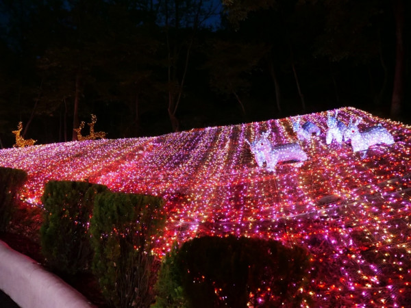 testing destination 澳門 