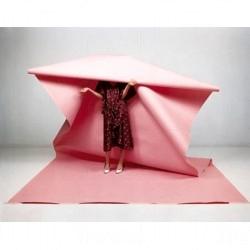 相片來源︰The Photographers' Gallery 英國 Fashion in the Mirror 相中美麗世界