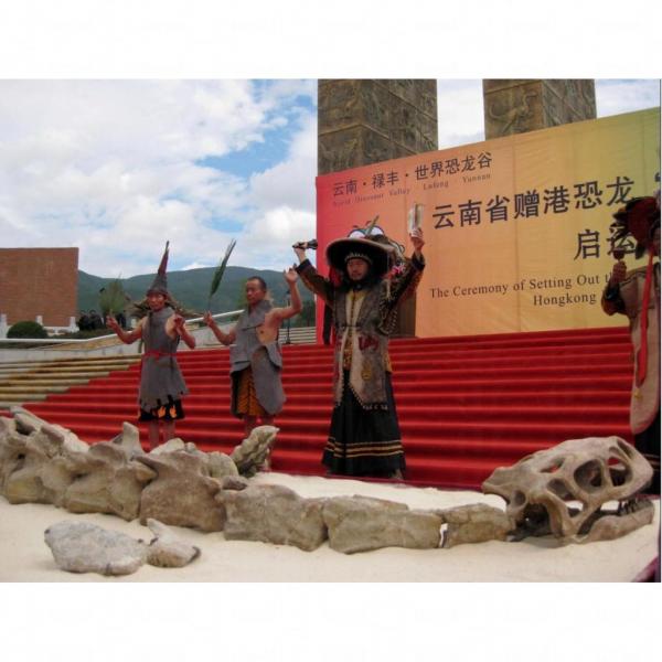 恐龍化石現身科學館 雲南祿豐龍永久「居港」