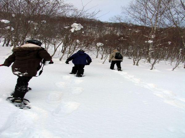 信用咭報日本團優惠 遊北海道慳500元