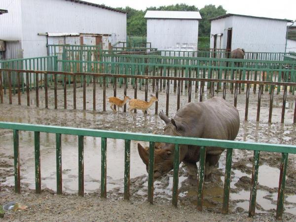 那須高原大感謝祭 精彩住玩優惠