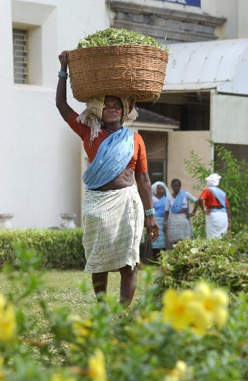 $ 3680 飛印度 兼送兩程內陸機