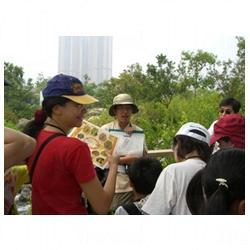 濕地公園蜻蜓節 仲夏大自然教室