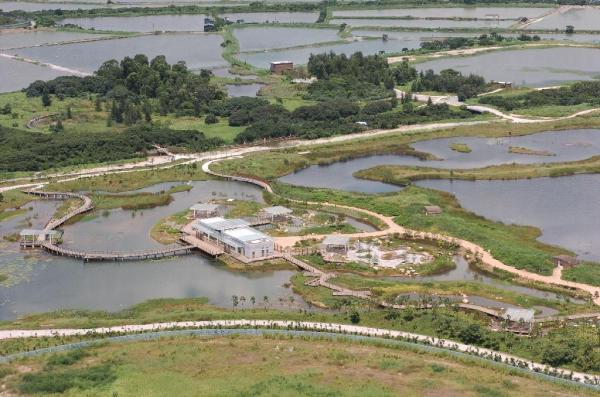 濕地公園蜻蜓節 仲夏大自然教室