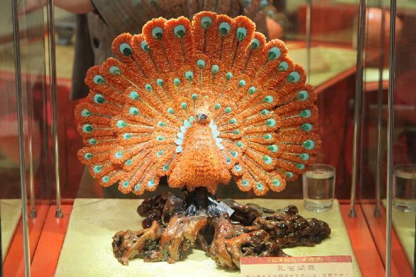 孔雀開屏 世貿中心 逾億元稀世珊瑚曝光