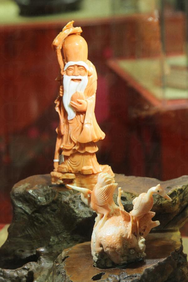 白眉壽翁 世貿中心 逾億元稀世珊瑚曝光