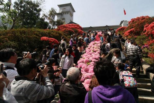 禮賓府周日開放 遊走百年建築賞杜鵑