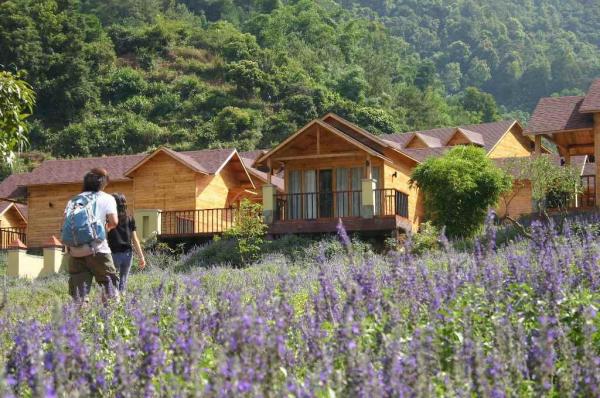 廣東盤龍峽 2 天遊 賞薰衣草 9 起