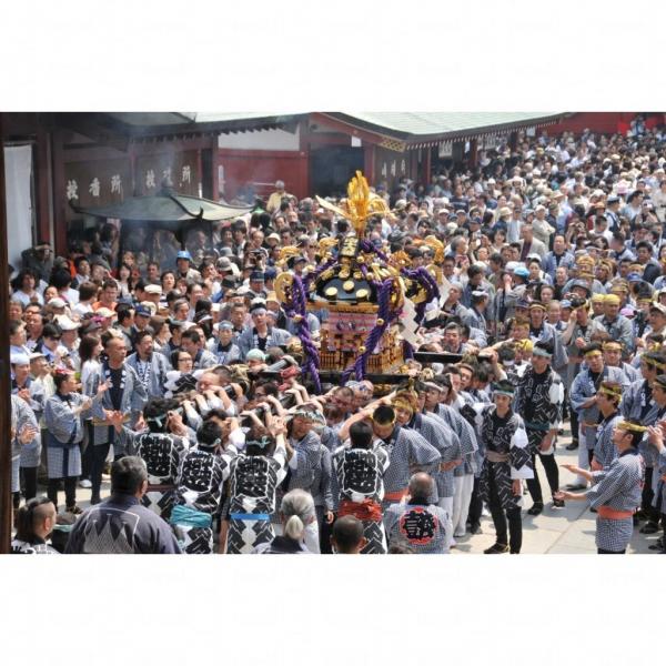 日本淺草三社祭 七彩神轎大巡遊