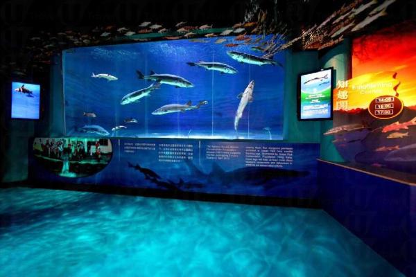 遊人更可於水族展館旁的一系列教育展板,認識牠們的習性。 中華鱘館揭幕 海洋公園門票有折