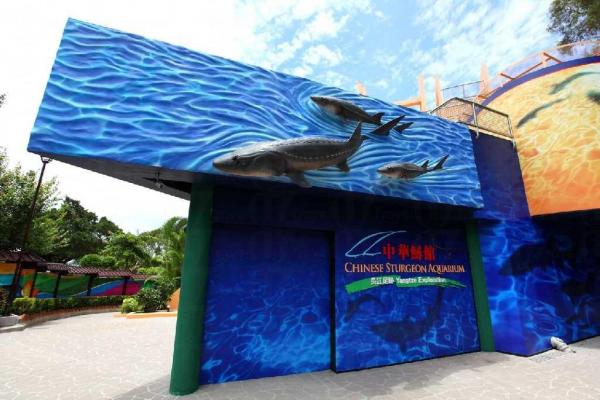 全新的中華鱘館總面積 3,500 平方米。 中華鱘館揭幕 海洋公園門票有折