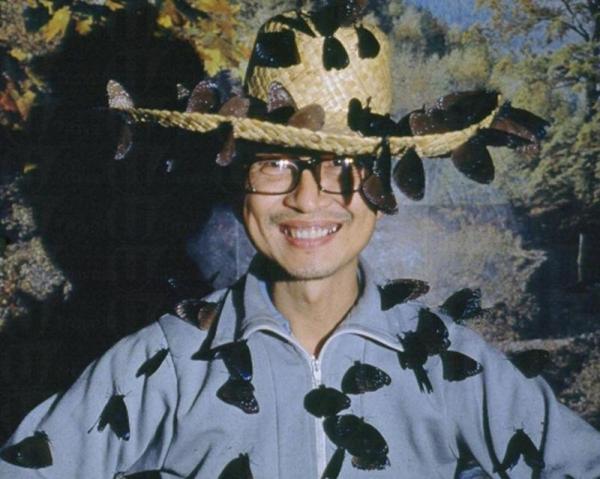 盡覽 400 稀有蝴蝶標本 學做蝴蝶專家