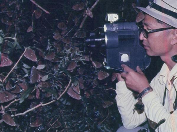 盡覽 400 稀有蝴蝶標本 學做蝴蝶專家