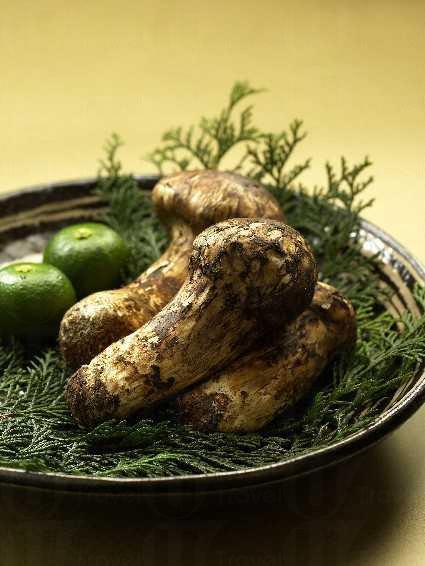 日航松茸懷石料理 細嚐當造菰菌皇