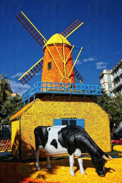 法國檸檬節 黃澄澄檸檬大遊行