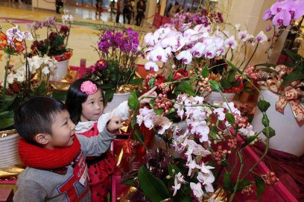 全世界最大剪紙孔雀 登陸屯門市廣場
