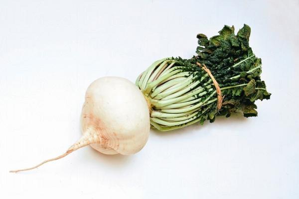 一田百貨 鹿島祭典賀新年