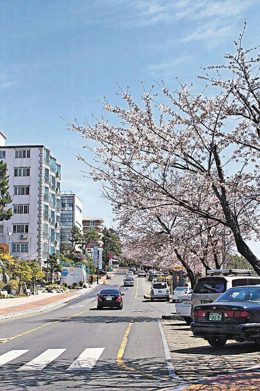 釜山新航線 5 月超抵價 0