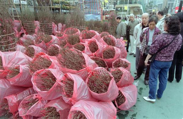 全港 14 個年宵花市 年廿四開鑼