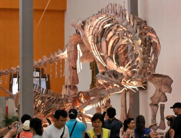 參觀者可以近距離觀看最古老的恐龍化石。(相片來源:聯合報系金傳媒活動事業處) 最古老恐龍 踩入中正紀念堂